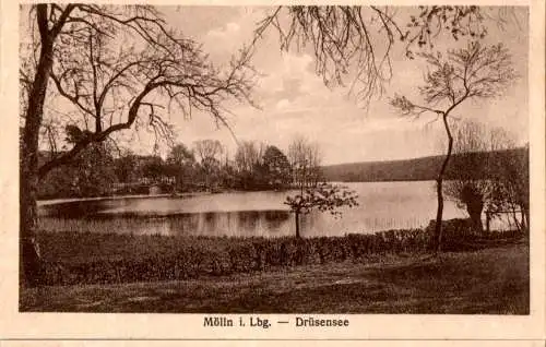 mölln i. lbg., drüsensee (Nr. 16600)