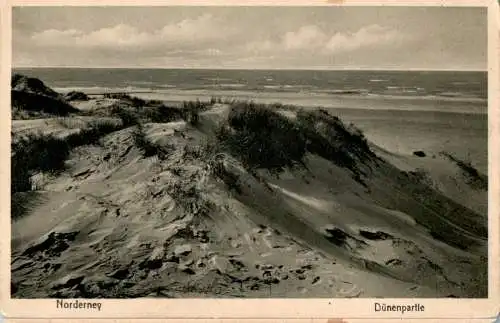 norderney, dünenpartie (Nr. 16613)