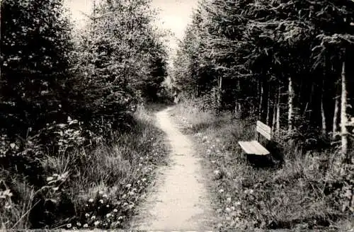 kellenhusen, waldweg (Nr. 16648)