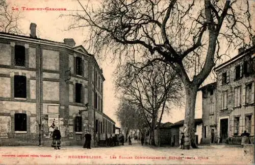 negrepelisse, les ecoles communales (Nr. 16869)