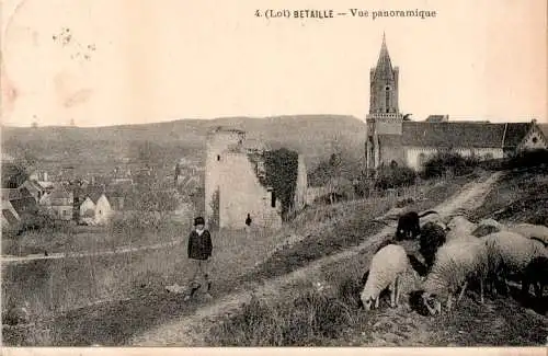 betaille, vue panoramique (Nr. 16918)