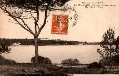 moutchic, etang de lacanau (Nr. 17073)