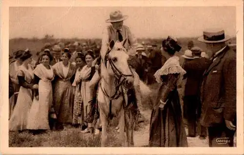 en camargue, en attendant la ferrade (Nr. 17125)