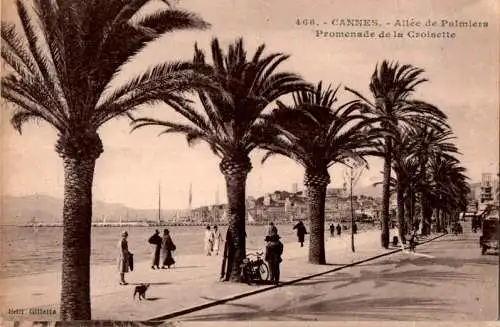 cannes, allee de palmiers (Nr. 17390)