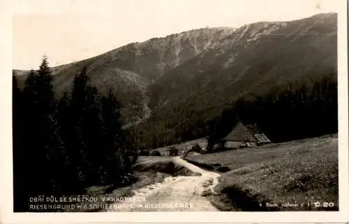 riesengrund mit schneekoppe im riesengebirge (Nr. 17510)