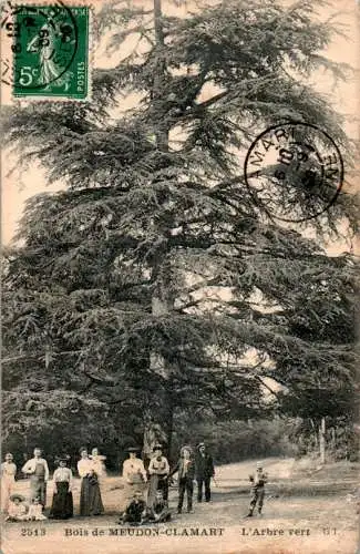 bois de meudon-clamart - l'arbre vert (Nr. 17587)