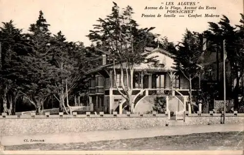 "les algues", pornichet (Nr. 17619)