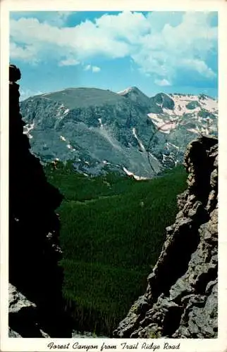 forest canyon from trail ridge road (Nr. 17808)