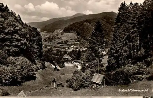 forbach/schwarzwald, ferienheim holdereck (Nr. 17832)