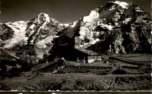 mürren, mönch u. jungfrau (Nr. 17910)