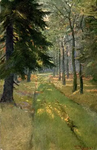 h. taeger, sonniger waldweg (Nr. 17980)