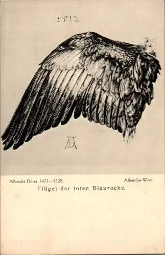 a. dürer, flügel der toten blauracke (Nr. 17991)