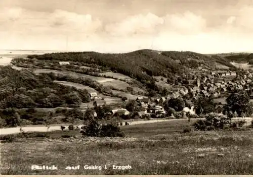 blick auf geising im erzgebirge, scanfehler (Nr. 18009)