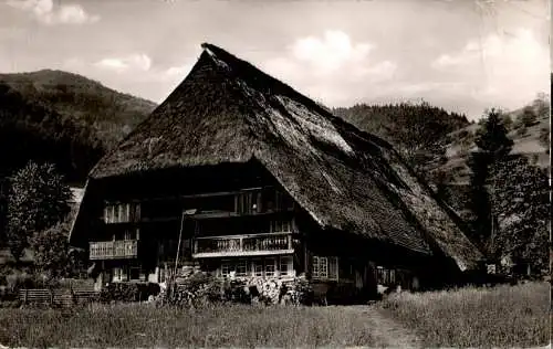 altes schwarzwaldhaus in gutach (Nr. 18076)