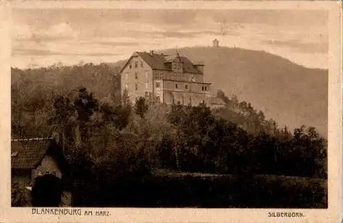 blankenburg, harz, silberborn (Nr. 18117)