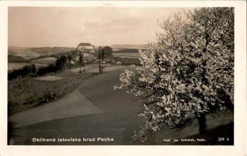 hrad pecka, burg pecka (Nr. 18122)