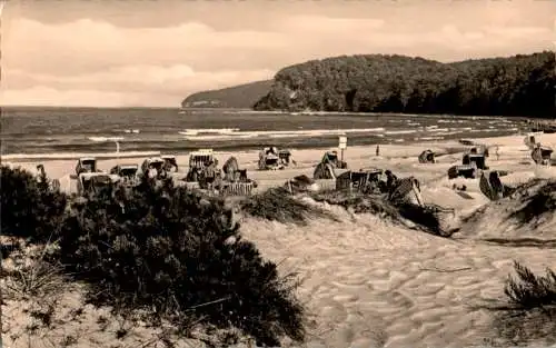 binz, rügen, strand (Nr. 18131)