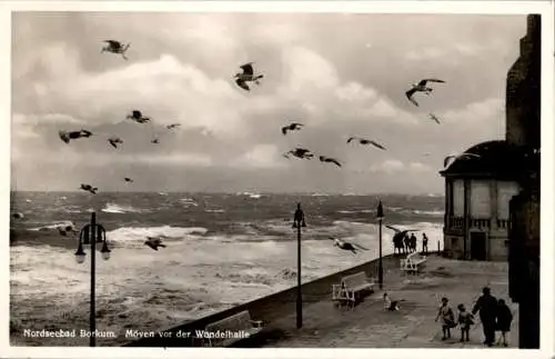 nordseebad borkum, möwen vor der wandelhalle (Nr. 18164)