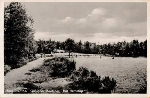 mooi drenthe, gasselte, staatsbos "het hemelrijk" (Nr. 18311)