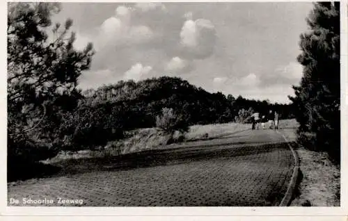 de schoorlse zeeweg (Nr. 18312)