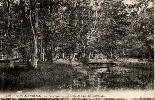 fontainebleau, la foret, la mare de l'ile des billebauts (Nr. 18320)