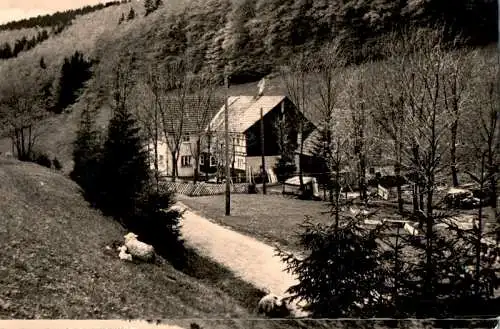 frauenwald, rennsteig, gaststätte fraubachmühle (Nr. 18334)