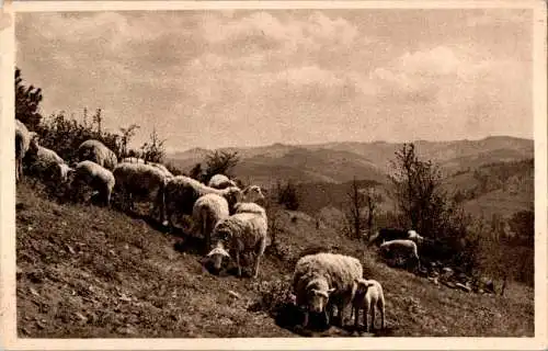 radostne velikonoce - frohe ostern (Nr. 18437)