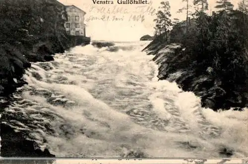 venstra gullöfallet, 1906 (Nr. 18490)