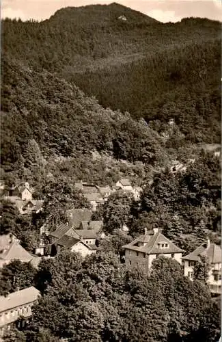 thal/thür. wald (Nr. 18621)