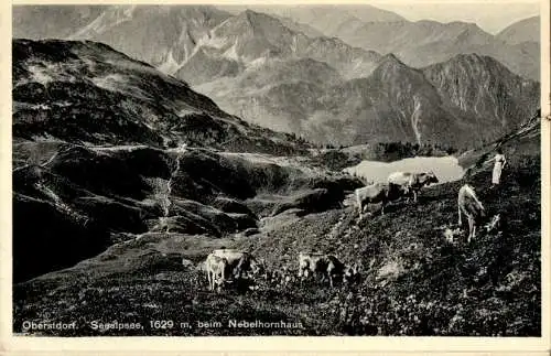 oberstdorf, seealpsee beim nebelhornhaus (Nr. 18678)