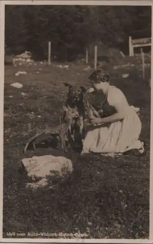 Rottach-Egern - Idyll im Alpen-Wildpark - ca. 1935