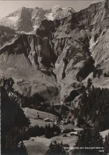 Österreich - Österreich - Schröcken - mit Braunarl - 1965