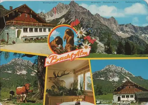 Österreich - Österreich - Ramsau - Alpengasthof bachlalm - ca. 1980