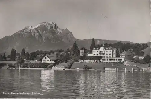 Schweiz - Schweiz - Luzern - Hotel Kastanienbaum - ca. 1960