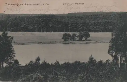 Dahlen-Schmannewitz - Der große Waldteich