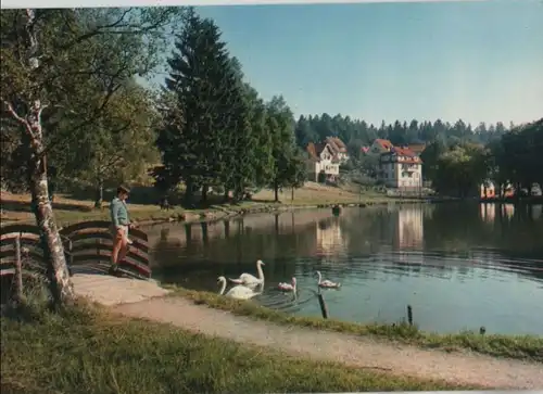 Königsfeld - Partie am Sägeweiher - 1977