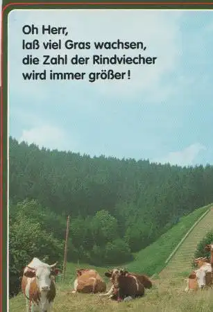Oh Herr, lass Gras wachsen - ca. 1995