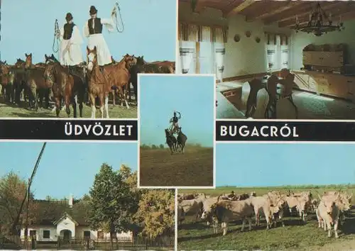 Ungarn - Bugac - Bugacrol - ca. 1975