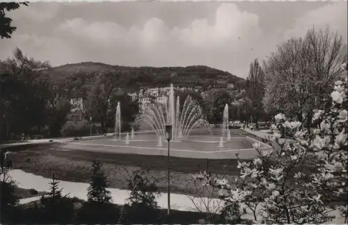 Bad Kissingen - Rosengarten - 1960