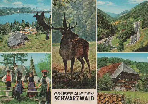 Schwarzwald - ca. 1975