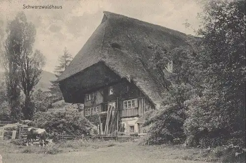 Winterberg-Altastenberg - Schwarzwaldhaus