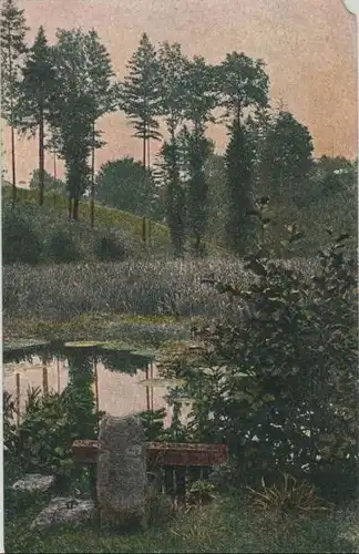 Kleiner Teich im Wald