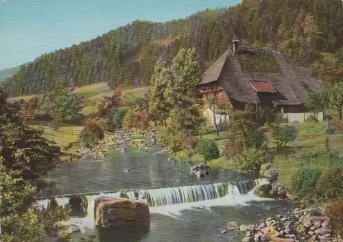 Schwarzwald - Bauernhaus bei Hornberg - 1959