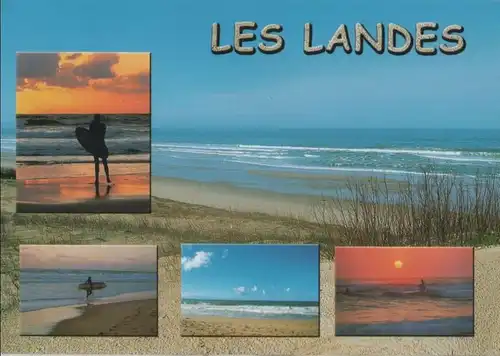 Frankreich - Frankreich - Les Landes - La Cote - 2002