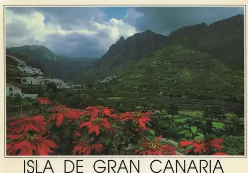 Spanien - Gran Canaria - Spanien - Valle de Agaete
