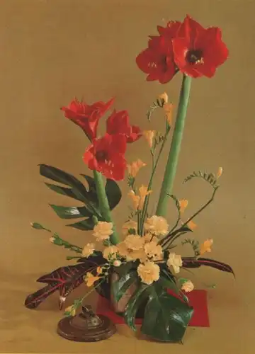 Amaryllis mit Freesien Arrangement