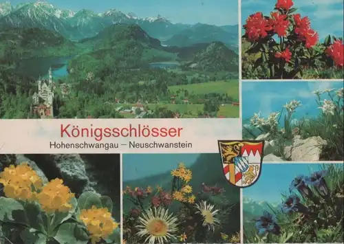 Schwangau, Hohenschwangau - Neuschwanstein - 1971