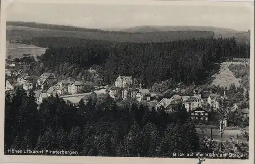 Finsterbergen - Blick auf die Villen am Steiger - ca. 1955