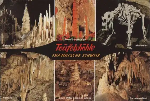 Teufelshöhle (Fränk. Schweiz) - u.a. Baum - ca. 1980