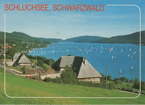 Schluchsee - Segler